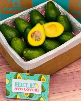Tropical Avocado Box