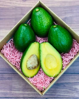 Tropical Avocado Box