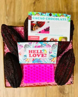 The Chocolatier’s Apprentice Box – Make Chocolate from Cacao Pods