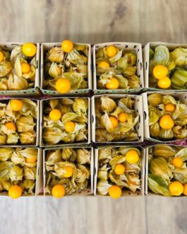Golden Berry Box