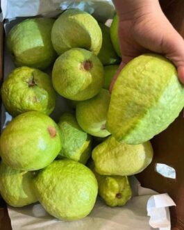 Pink Guava Box