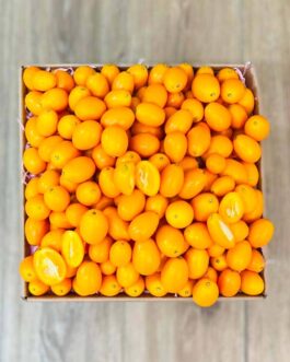 Kumquat Fruit Box