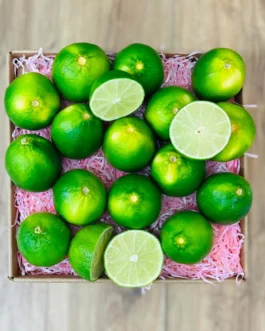 Tropical Lime Box