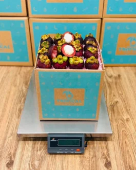 Purple Mangosteen Fruit Box