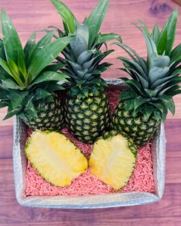 Premium Tropical Golden Pineapple Box