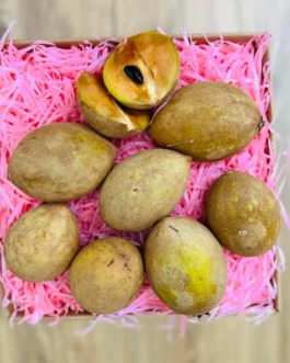 Fresh Sapodilla | Zapote | Chico Box