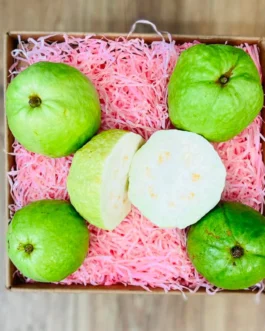 Fresh Tropical White Guava Box (Thai Guava)