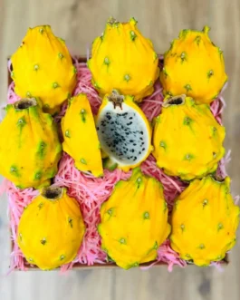 Yellow Dragon Fruit Box