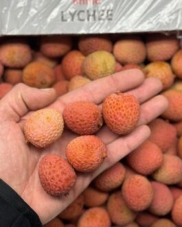 Lychee