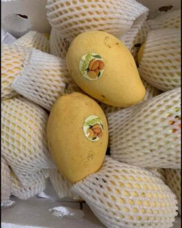 Yellow Mango