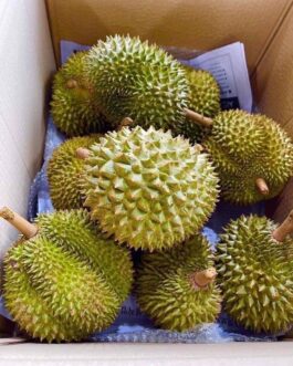 Durian