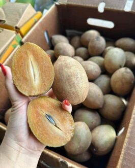 Sapote