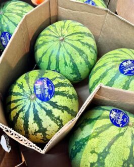 Watermelon