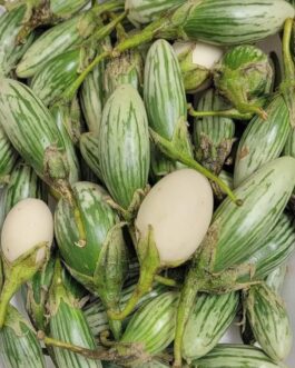 Thai egg plant
