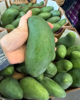 Thai Mango