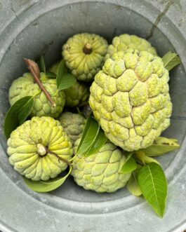 Sugar Apple