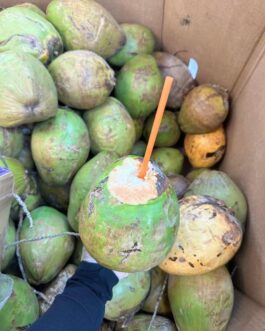 Coconut