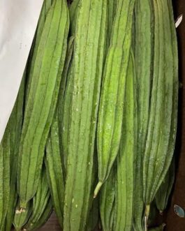 Ridge Gourd