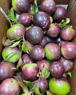 Starapple
