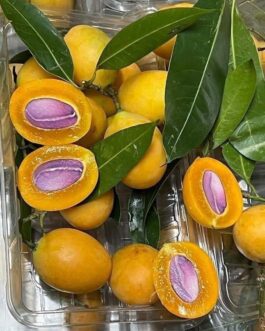 Yellow Marian plum