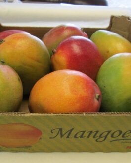 Fresh mango fruit