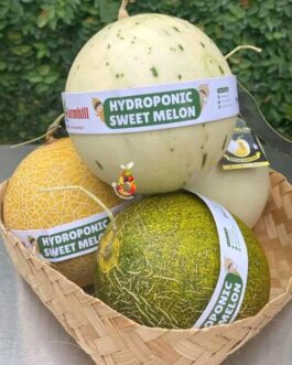 hydroponic water melon